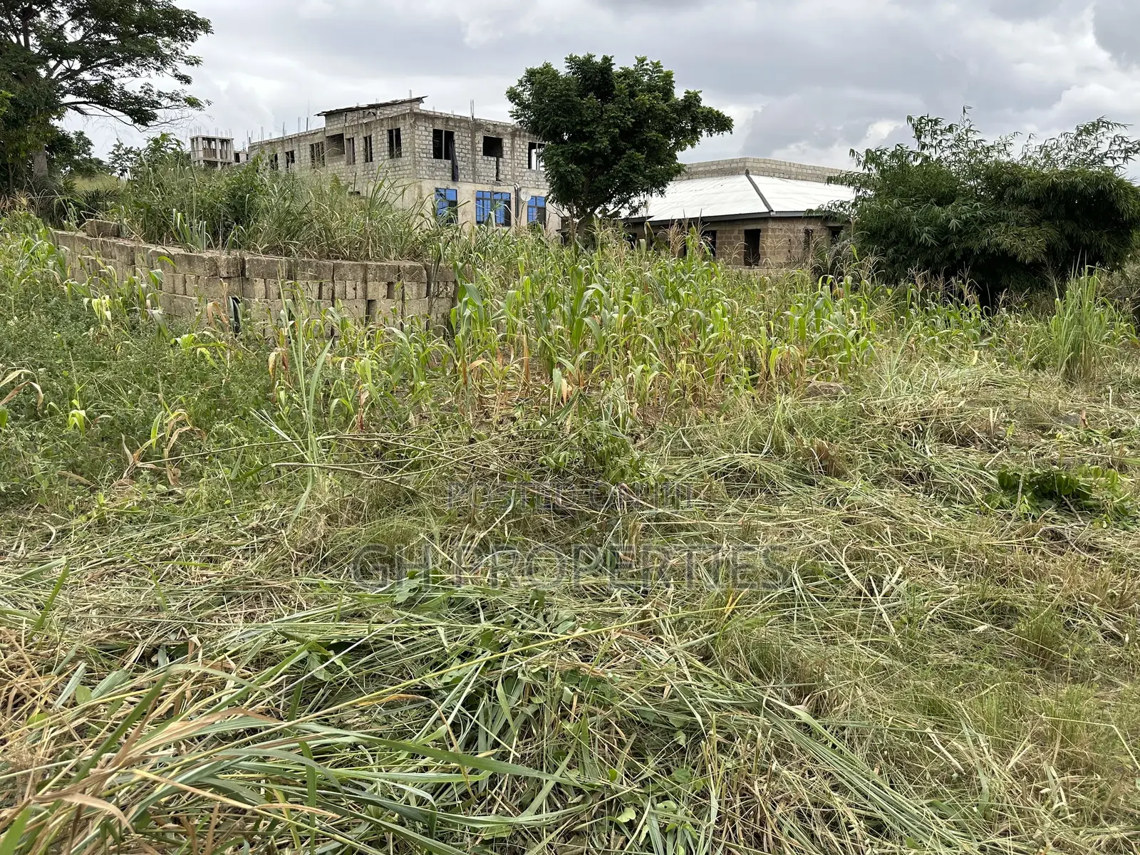 Half Plot for Sale at Kaase Oti.
