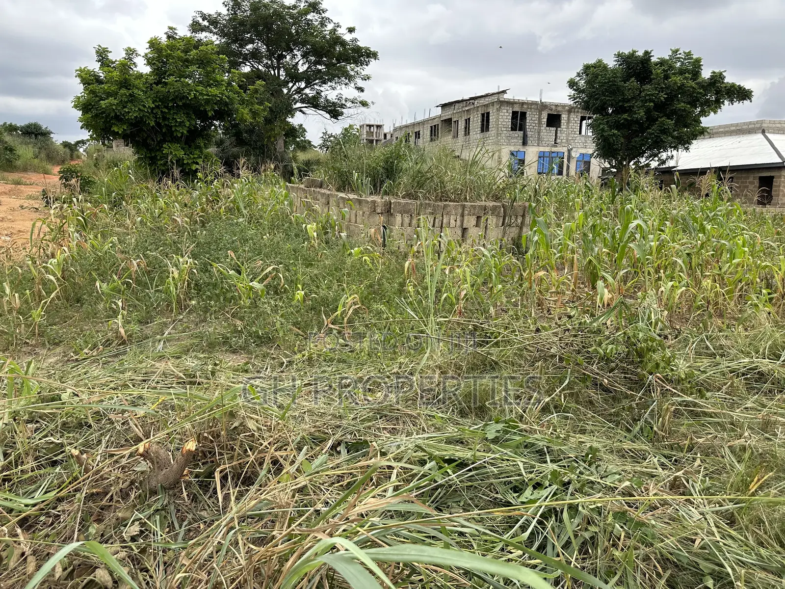 Half Plot for Sale at Kaase Oti.