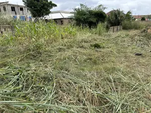Half Plot for Sale at Kaase Oti.