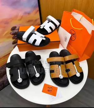 Original Hermes Slides