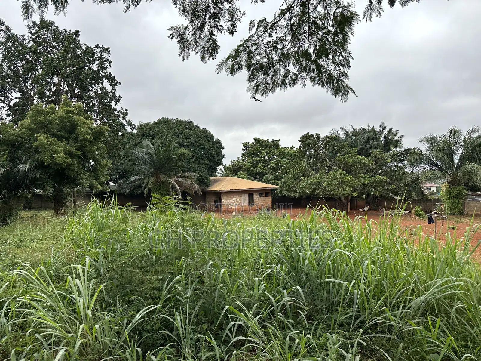 Plot for Sale at Paraku Estate
