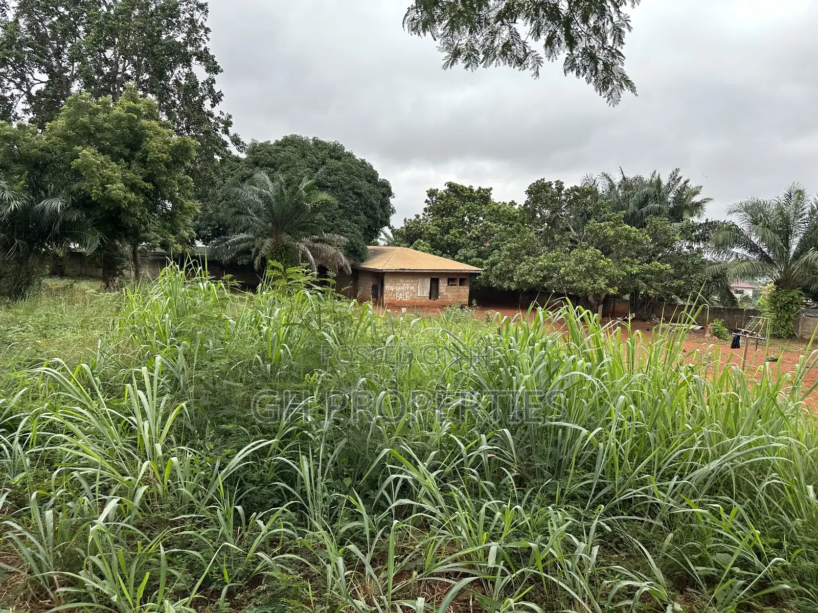 Plot for Sale at Paraku Estate