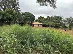 Plot for Sale at Paraku Estate