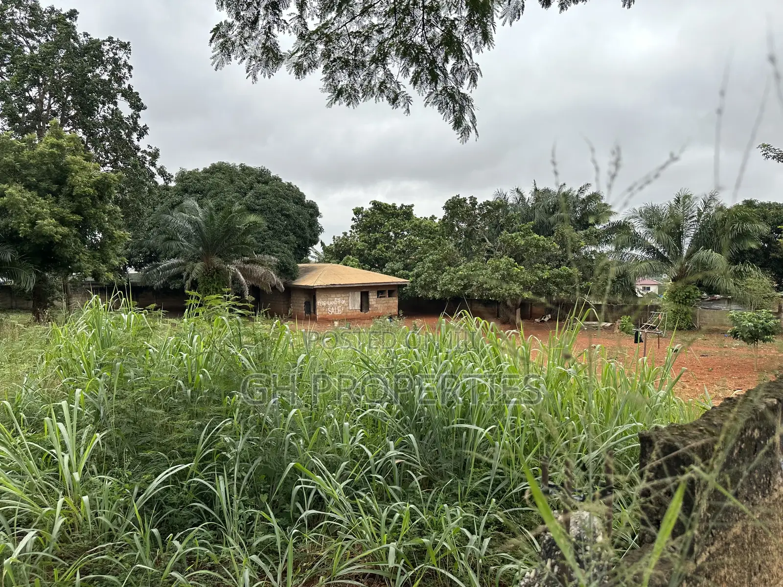 Plot for Sale at Paraku Estate