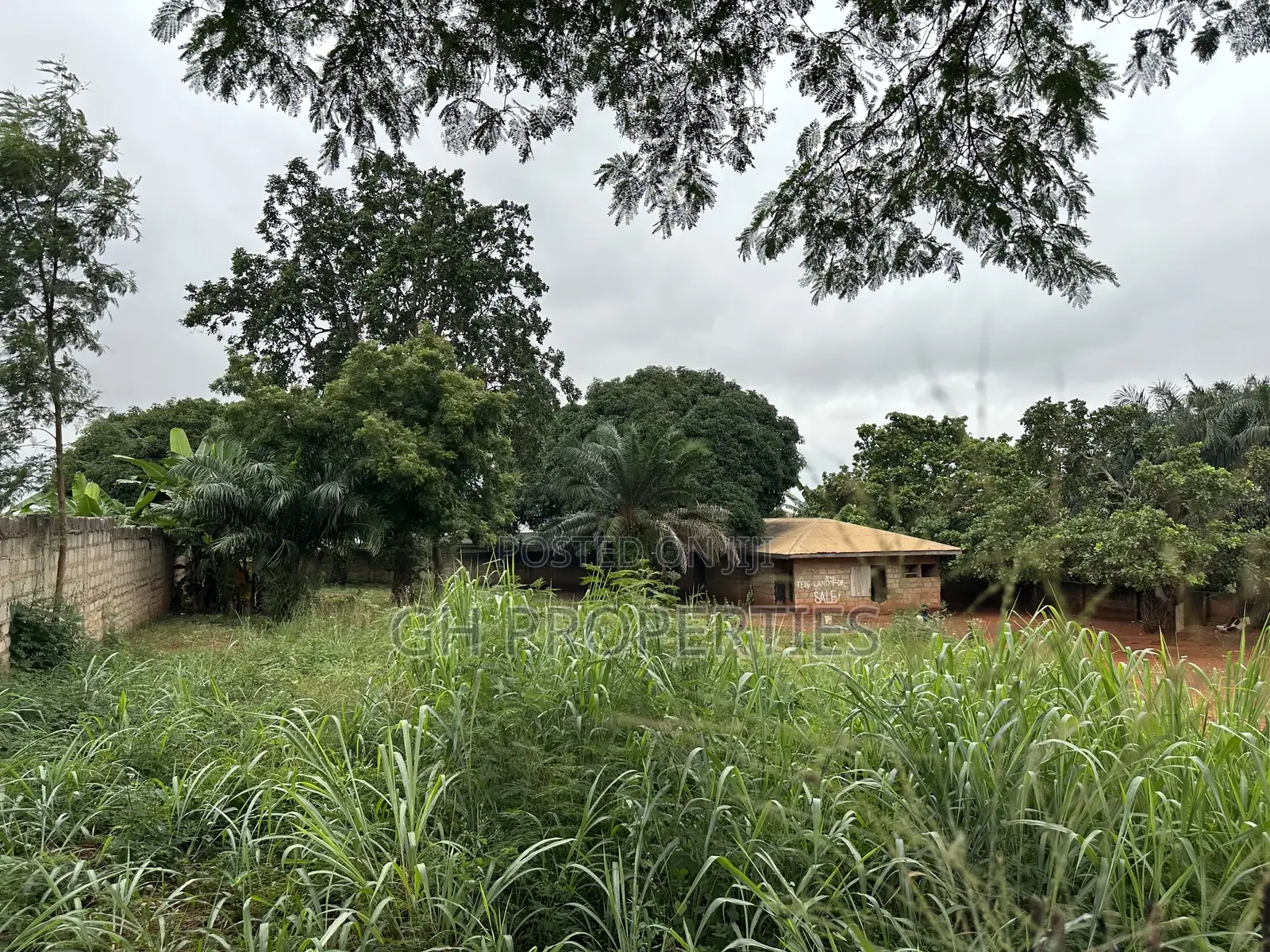 Plot for Sale at Paraku Estate