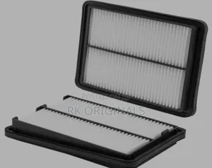 Nissan Rogue/Qashqai 2014-2022 Air Filter Imported From USA