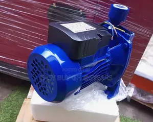 Electric High Quality and Affordable Price Chimp Water Pump