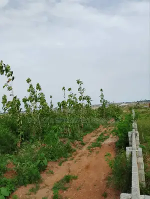 70*100 Plot of Land for Sale at Ashalaja