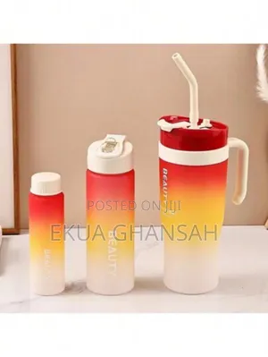 3 in 1 Water Bottle
