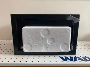 Electronic Safe - Web1520
