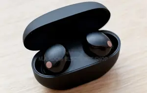 Sony Wireless Bluetooth Earbuds With Alexa Built In