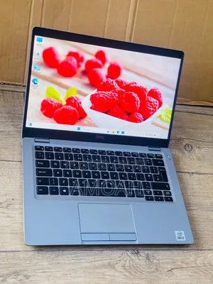 Laptop Dell Latitude 5310 8GB Intel Core I5 SSD 256GB