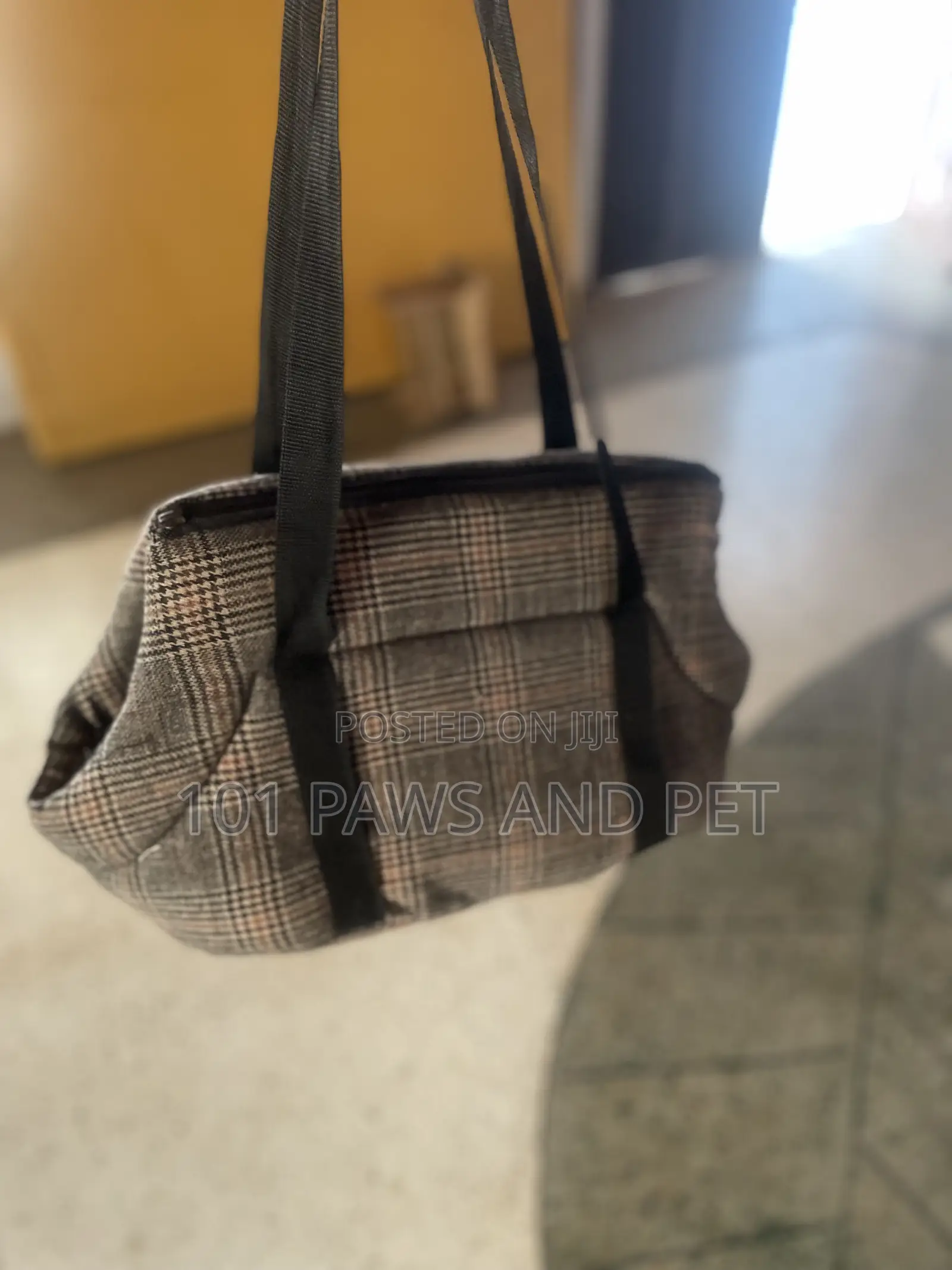 Cute Pet Bag