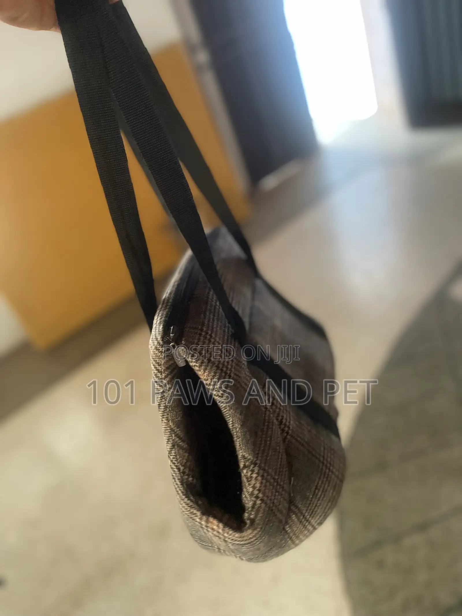 Cute Pet Bag