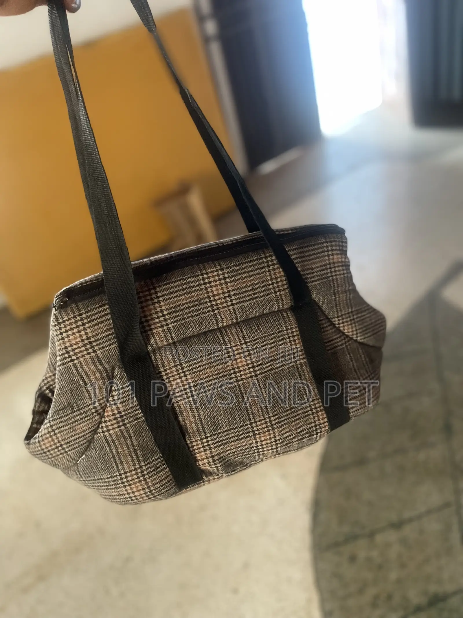 Cute Pet Bag