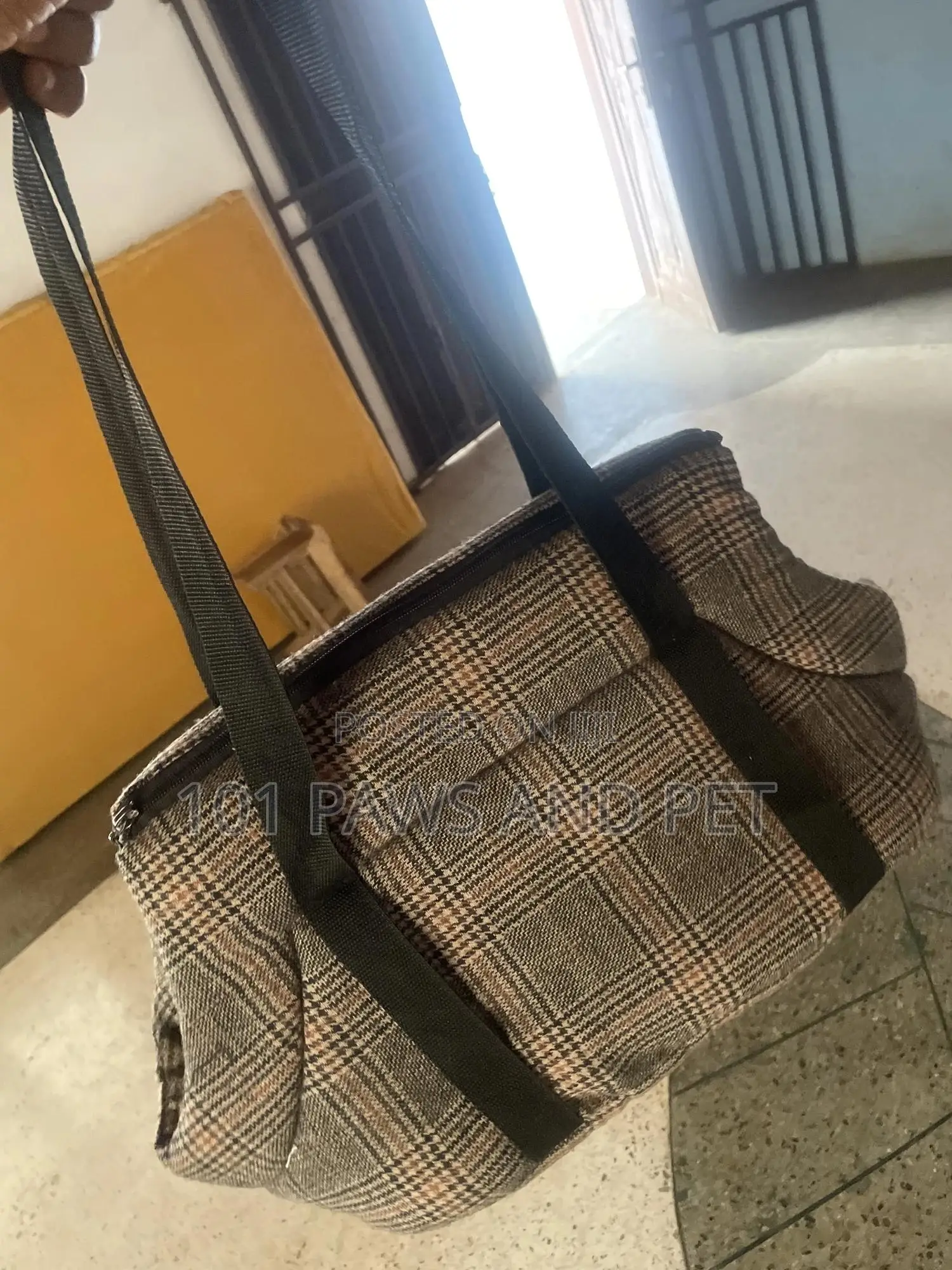 Cute Pet Bag