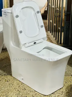Siphonic Water Closet - Combined WC - Toilet Seat