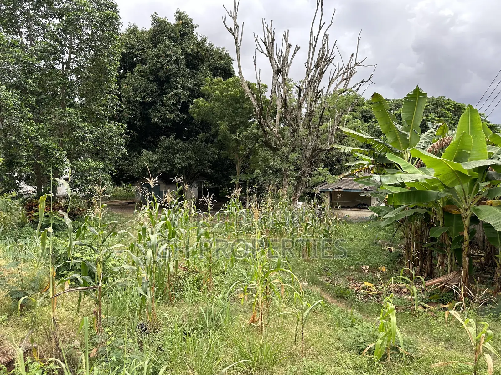 One and Half Acres at Ahodwo Roundabout to Ridge.