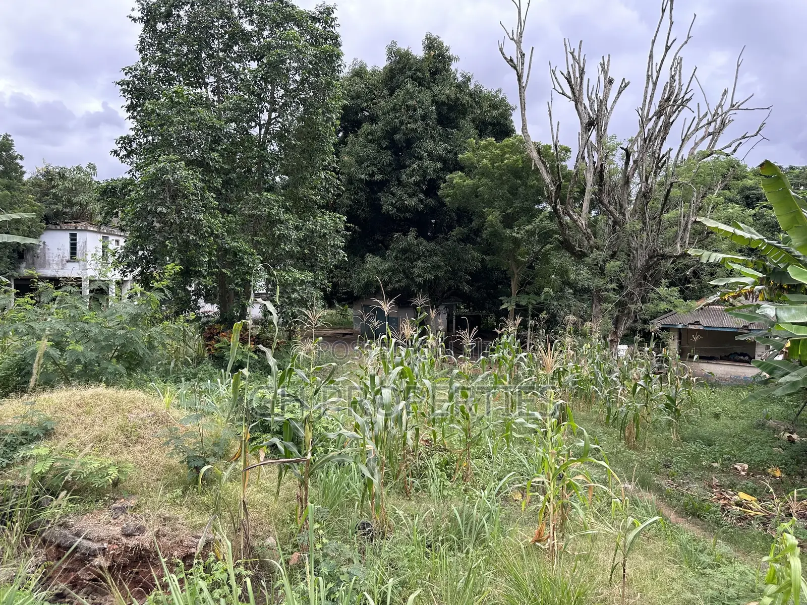 One and Half Acres at Ahodwo Roundabout to Ridge.