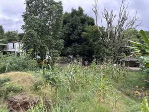 One and Half Acres at Ahodwo Roundabout to Ridge.
