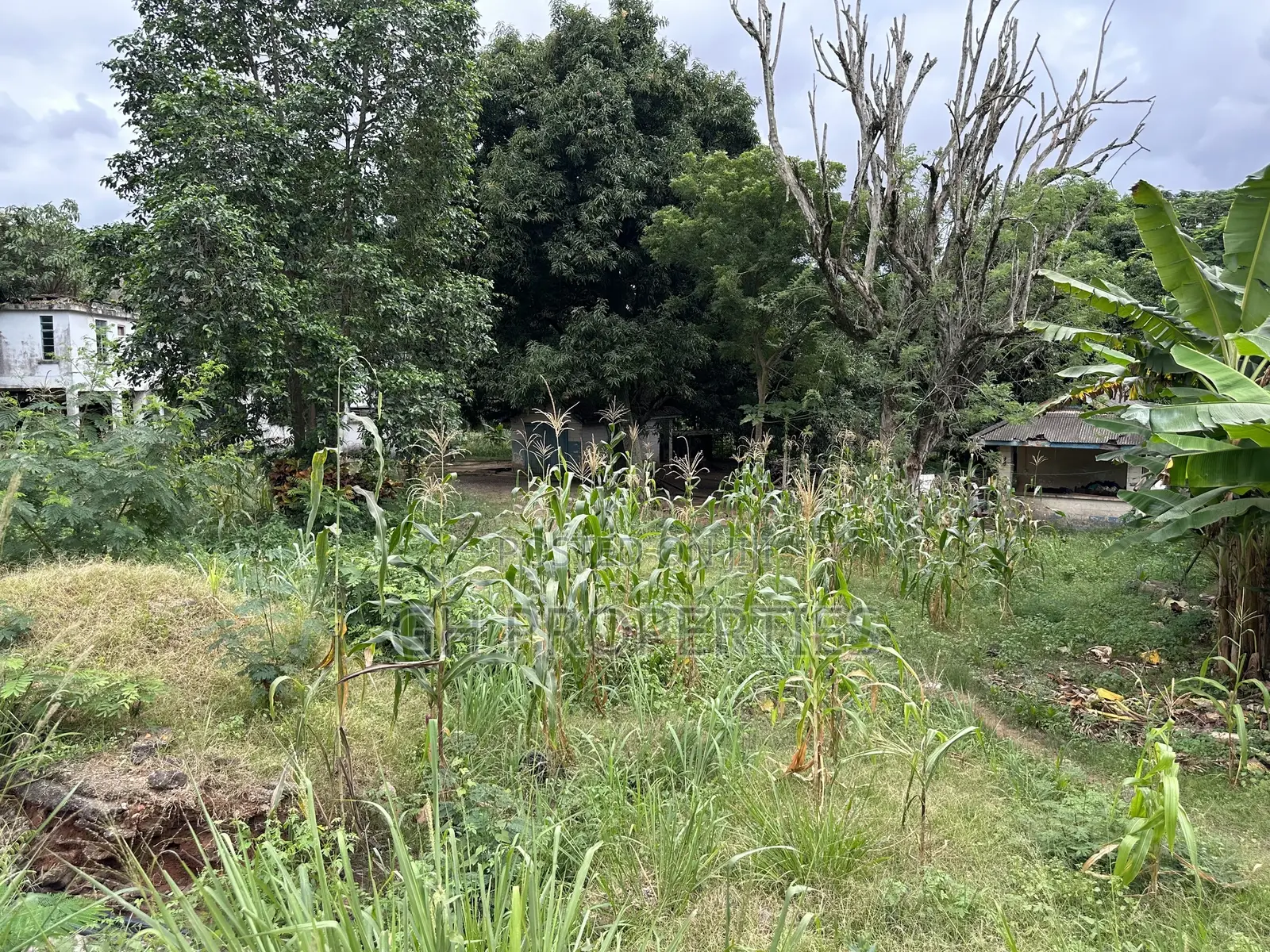 One and Half Acres at Ahodwo Roundabout to Ridge.