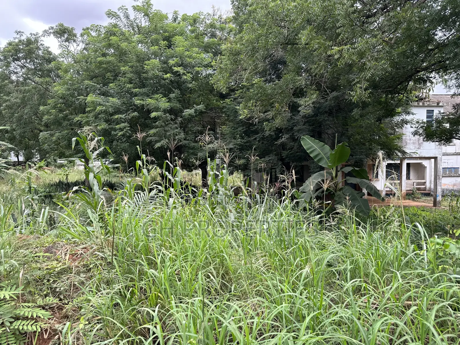 One and Half Acres at Ahodwo Roundabout to Ridge.