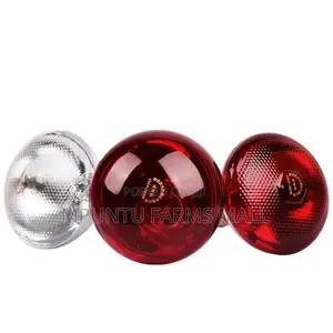 Infrared Heat Bulb