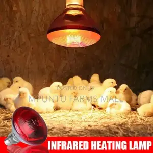 Infrared Heat Bulb