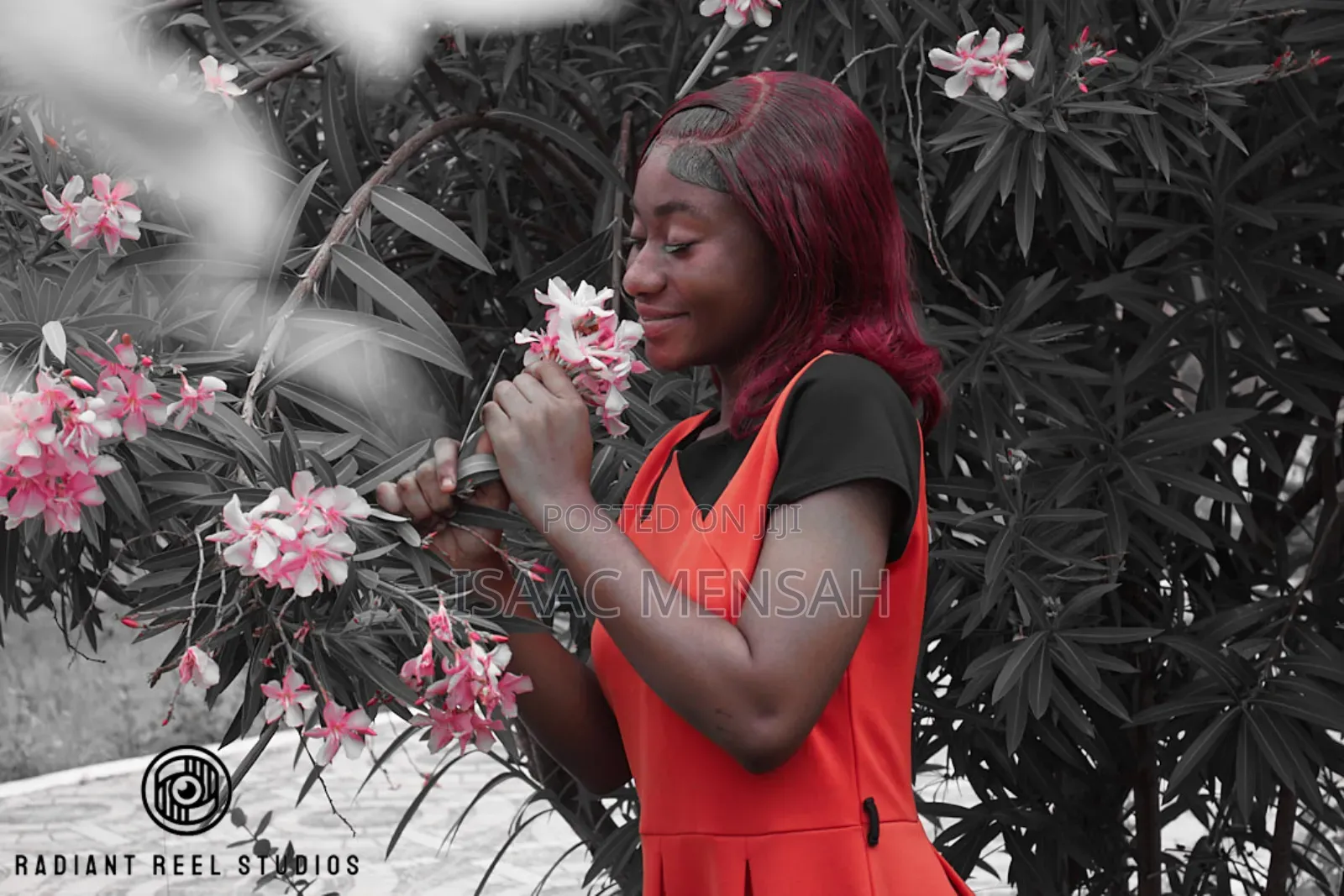 All Photography and Videos Events at Cool Price