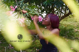 All Photography and Videos Events at Cool Price