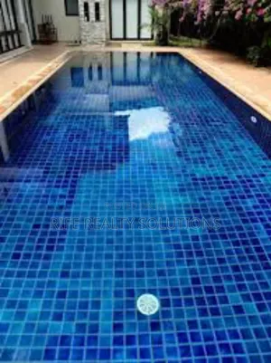 Swimming Pool Cleaning Services