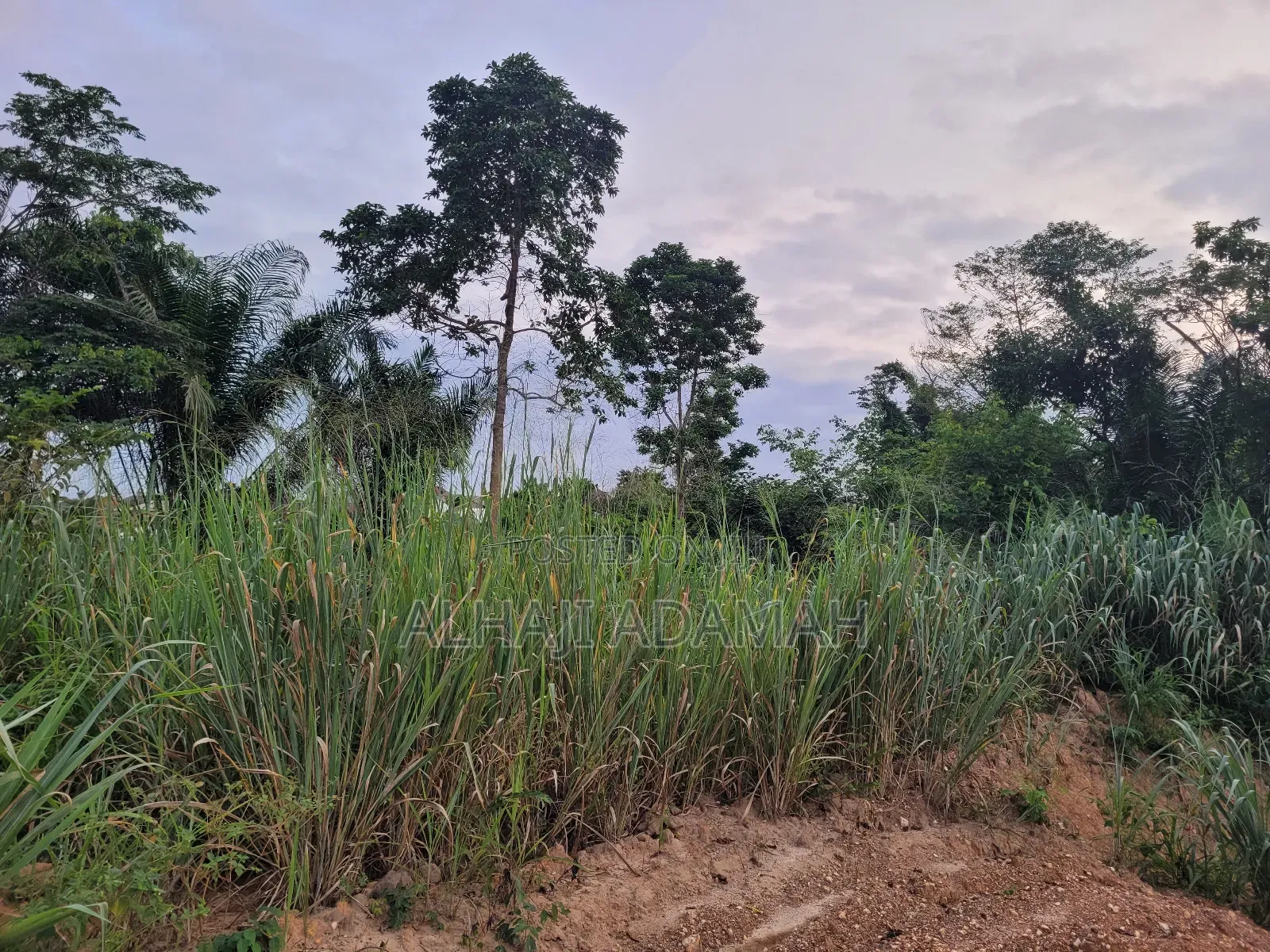 Two Plots of Land for Sale at Santa'si Darko