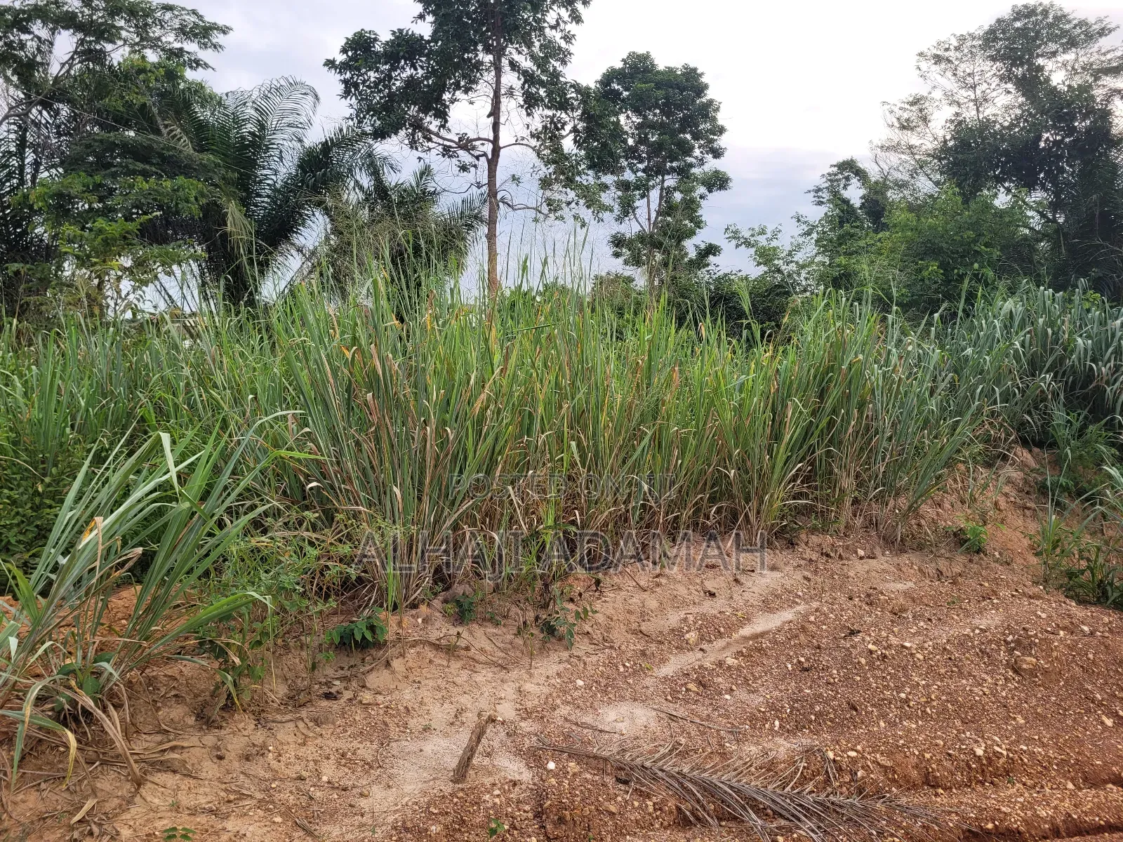 Two Plots of Land for Sale at Santa'si Darko