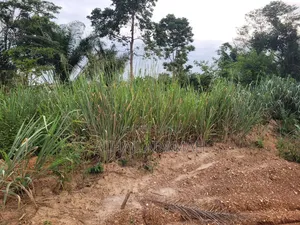 Two Plots of Land for Sale at Santa'si Darko