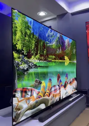 High Dynamic Range Lg Oled 65 Smart Wifi Uhd Digital Tv