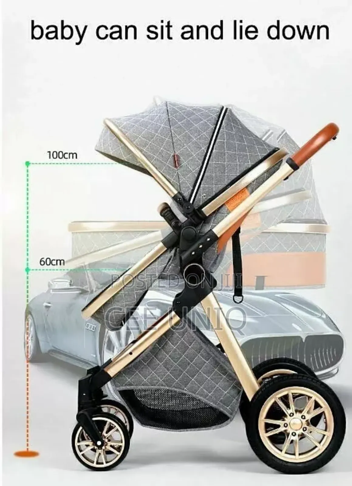 3 in 1 Stroller With Car Seat