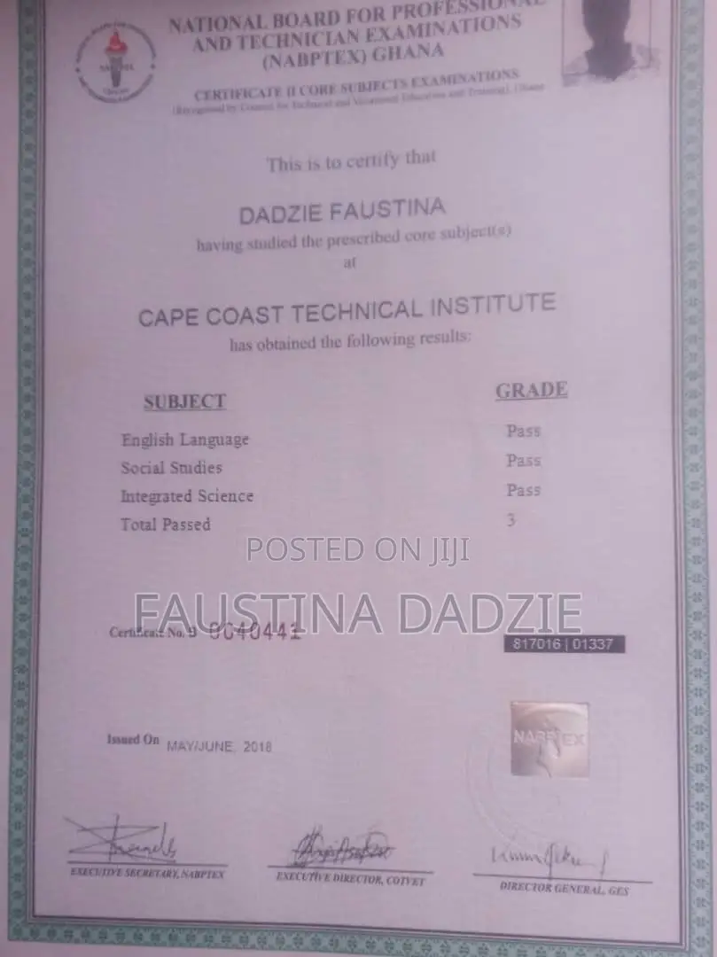 Housekeeping Cleaning CV