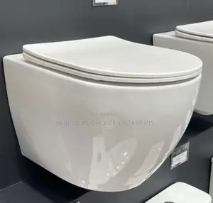 Conceal Wall Unit _Water Closet _Hunging Wc