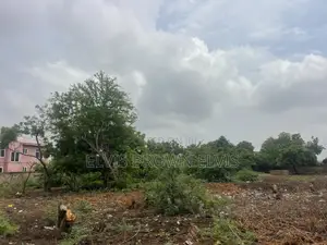 Two Plots of Land for Sake at West Trasacco Borteyman