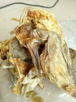Stockfish Head