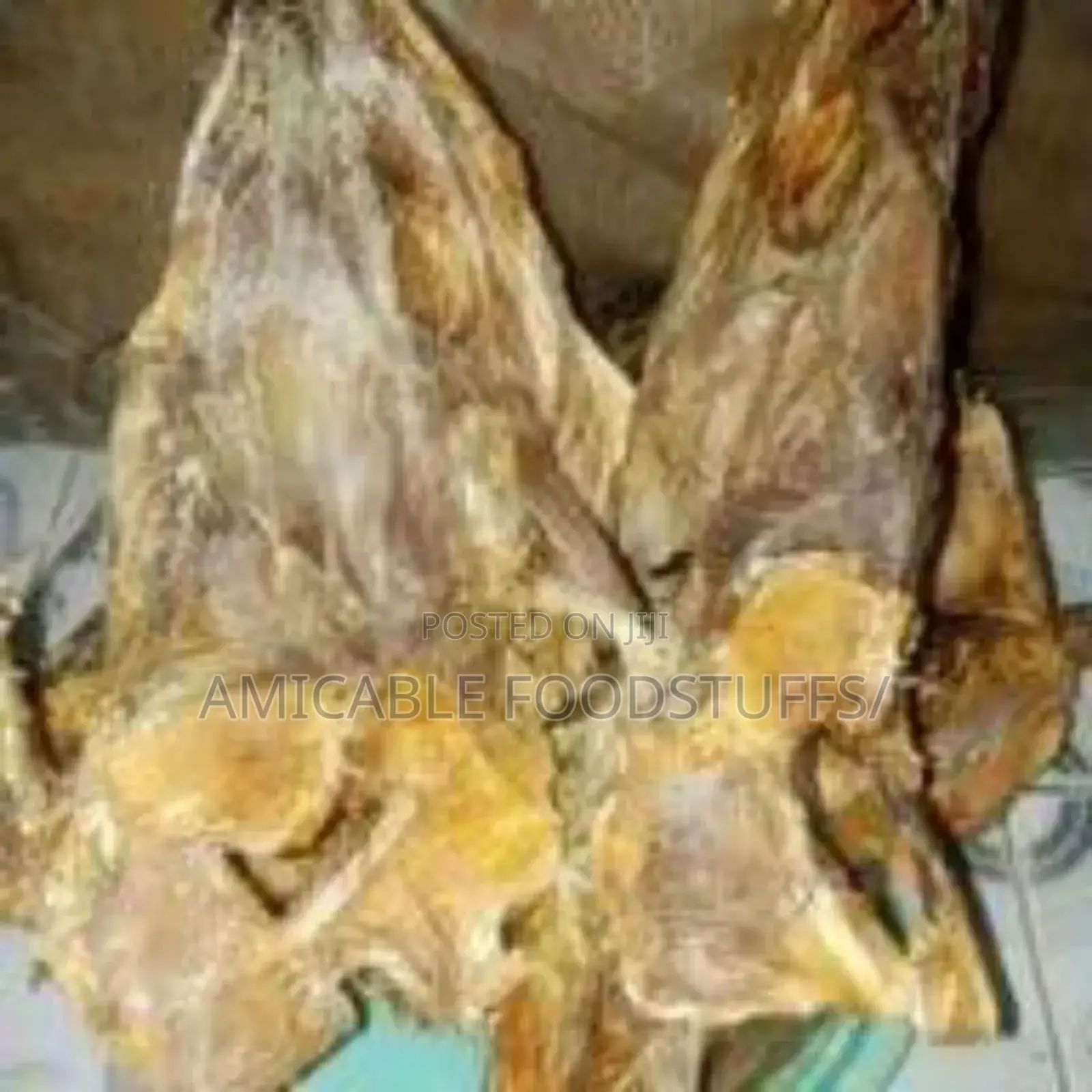 Stockfish Head