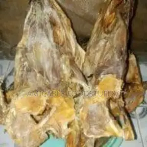 Stockfish Head
