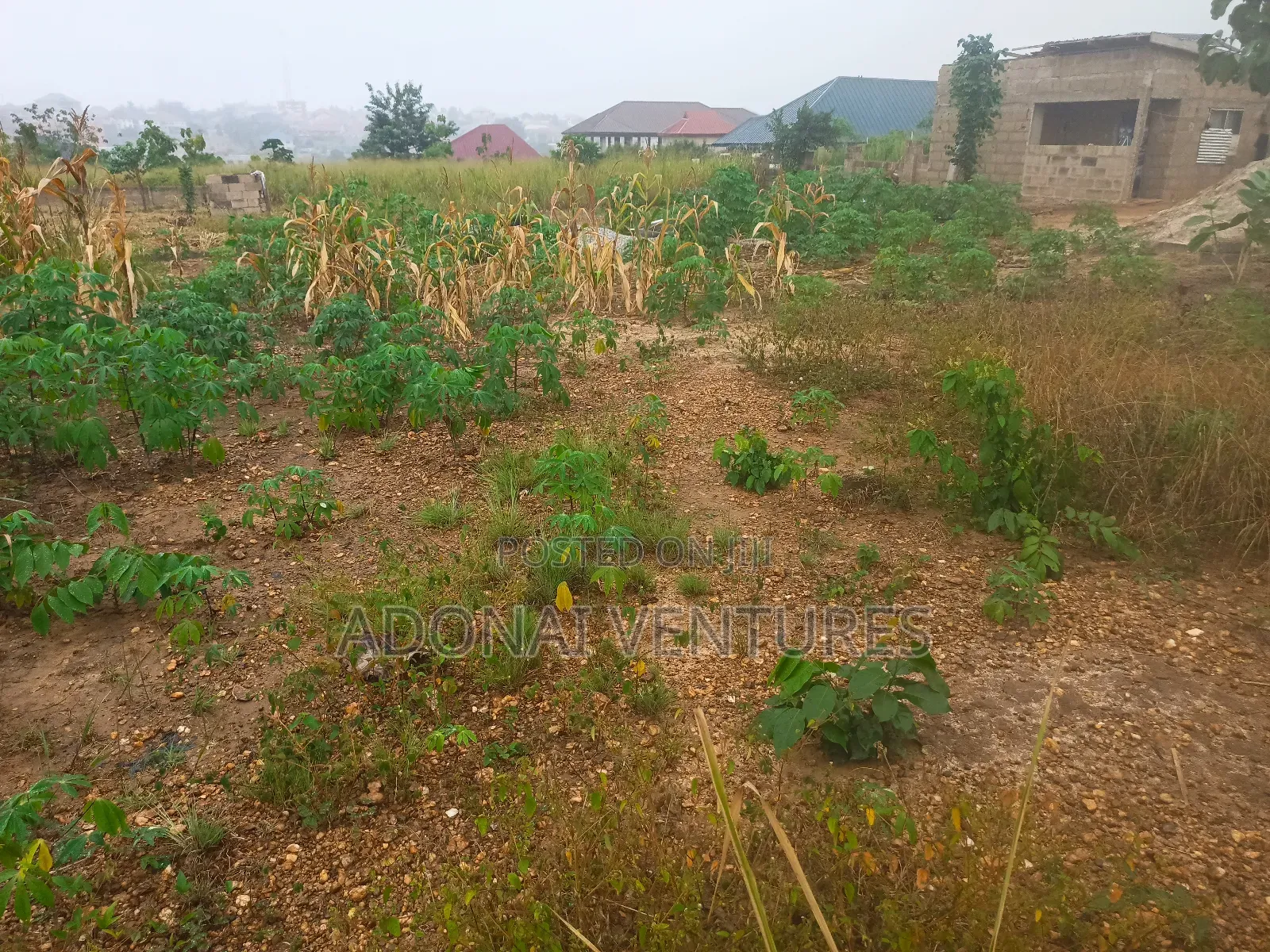 One Plot Available for Sale in Santasi Kokoben