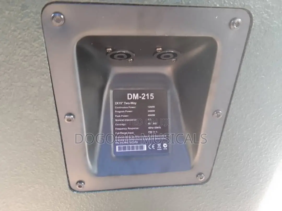 Evp Audio Dm-215 15-inch Dual Full Range Speaker