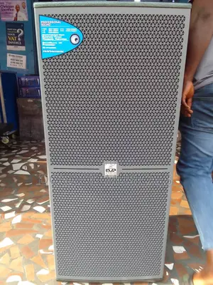 Evp Audio Dm-215 15-inch Dual Full Range Speaker