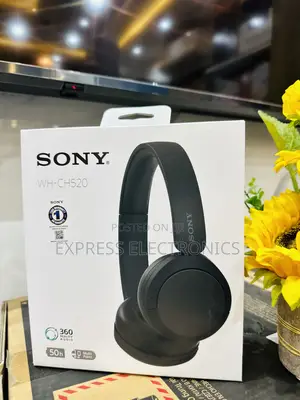 Sony WH-CH520 Headset