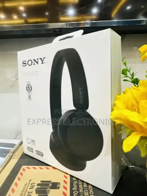 Cool Price Sony WH-CH520