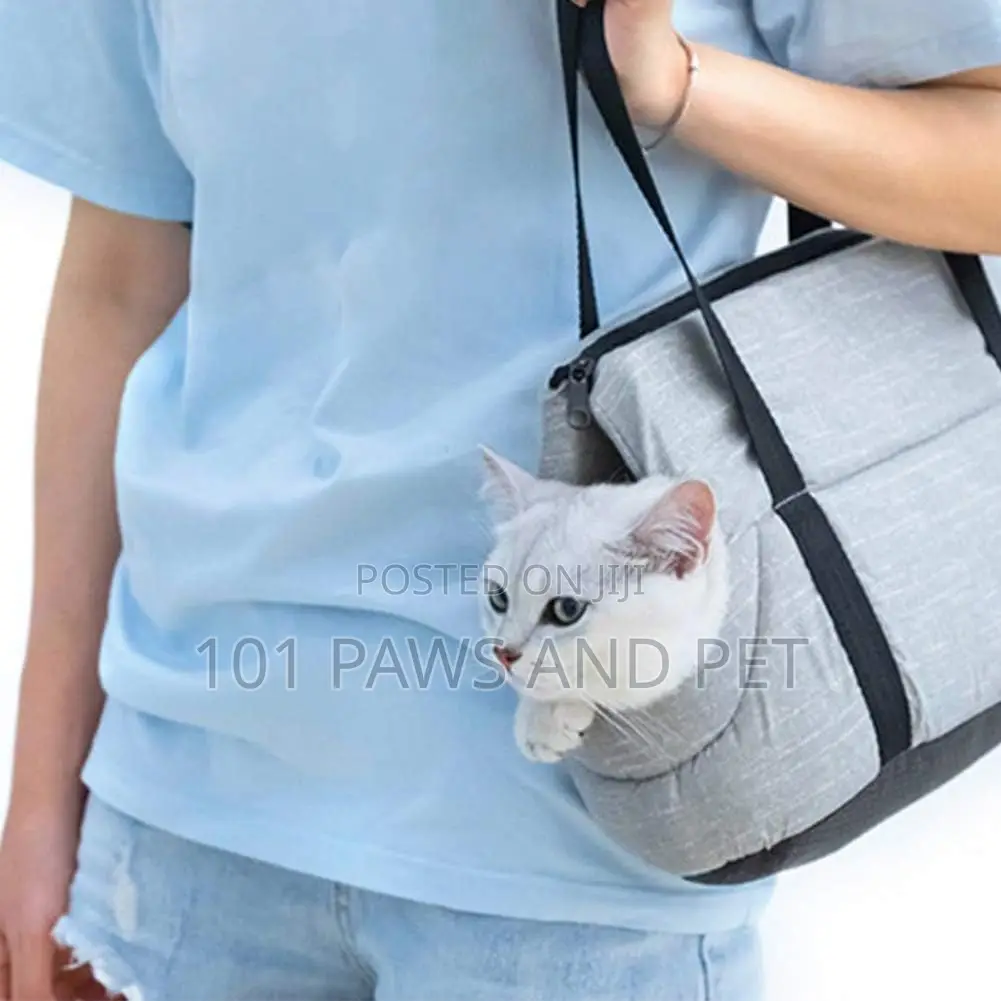 Dog and Cat Carrier