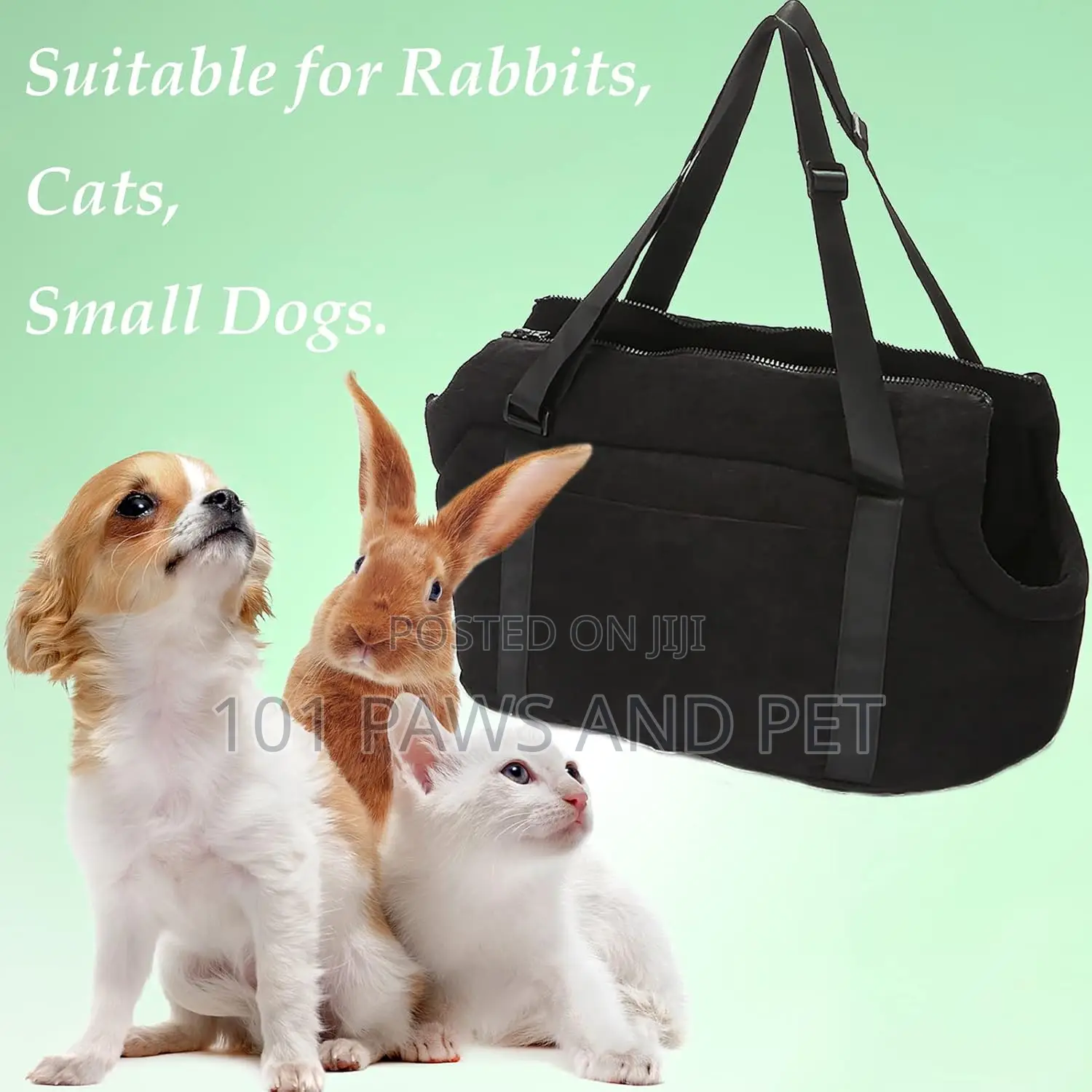 Dog and Cat Carrier
