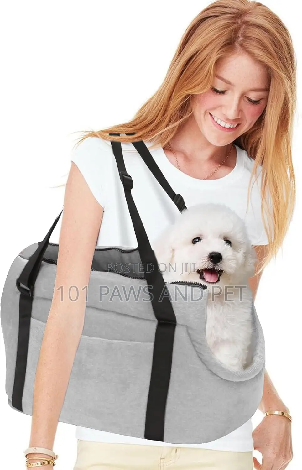 Dog and Cat Carrier